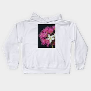 Brushbox Framed by Corymbia Ficifolia Kids Hoodie